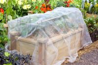 Nylon netting covering raised bed of strawberry plants, protecting against bird attack - 'Home Grown', RHS Hampton Court Flower Show 2010