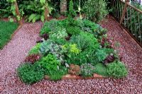 Herb bed with red brick and gravel surround - RHS Tatton Park Flower show 2010