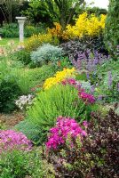 Alpine and herbaceous bed in spring with Phlox, Alyssum, Hypericum, Salvia, Pulsatilla, Cytisus and Nepeta