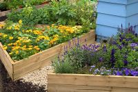 Raised triangular beds infilled with orange and purple flowers including Calendula, Tropaeolum - Nasturtium, Petunia, Lavandula, with central beehive. The  Busy Bees Nurseries 'Planting a Rainbow' garden - RHS Tatton Flower Show 2010 