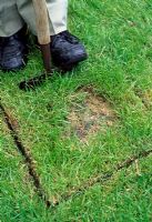 Use a spade or a half moon turf cutter to cut around the damaged or marked area of the lawn