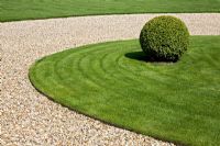 Circular gravel driveway with grass centre and Box ball