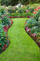 Wavy lawned path between borders with Dahlia flowers and bedding plants