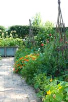 Kitchen garden with brick path leading to reclaimed bath with Allium seedheads and Agapanthus. Calendula officianalis and Tropaeolum on either side of brick path with willow wigwam supports, Heveningham, Suffolk