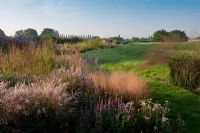 Sedum 'Autumn Joy', Verbena bonariensis and Miscanthus grazella in border, The Oast House, Sussex, September