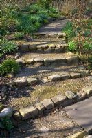 Steps, made from rocks and embedded pebbles, leading through copse in Spring at Summerdale House, Cumbria NGS