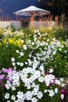 Paved area by barn with Cosmos 'Sonata', Cosmos 'Purity', Nicotiana sylevstris, Calamagrostis 'Karl Foerster'. Croesllanfro Farm, Rogerstone, Newport, South Wales. Late July.