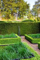 The Cornfiled Garden and the Grasses Parterre. Low clipped Buxus hedge containing beds of Calamagrostis acutiflora 'Overdam'. Stainless steel water feature. Taxus - Yew hedge behind. Veddw House Garden, Monmouthshire, Wales. May