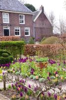 Potager in Spring with Hyacinthus 'Woodstock' and Hyacinthus 'Gipsy Queen' 