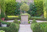 Small formal 'antechamber' to walled garden, built 1999, designed by late Graham Hopewell, planted evergreens including low hedges of Hedera 'Ivalace', clipped Buxus, a clipped standard Ilex - Holly, and wall trained Ficus carica 'Brown Turkey' - Fig and Trachelospermum asiaticum. Beds contain Marjoram and Santolina. Mill House, Netherbury, Dorset, UK