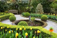 Formal garden with Tulipa 'Washington' and 'Juliette' growing in Buxus - Box parterre and circular pons with statue
 