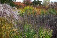 New area of perennials and grasses, including Miscanthus sinensis, Agastache, Echinops and Solidago rugosa, designed by Piet Oudolf - Trentham Gardens, Staffordshire, October