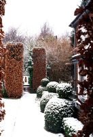 Formal garden in winter with snow covered topiary and Fagus - Beech hedge