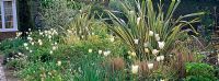 Spring border of Tulipa, Phormium and grasses