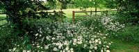 Path through wild flowers to gate - Farleigh House, Hampshire