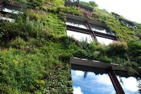 Vertical planting on building - Musee du quai Branly