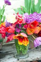 Colourful cut Tulips in glass jug