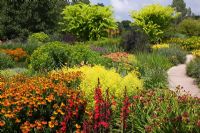 Square Garden at RHS Rosemoor with Achillea 'Paprika', Helenium 'Sahin's Early Flowerer' AGM, Monarda 'Prairienacht' and Solidago 'Goldenmosa' AGM