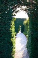 Path leading trough Yew archway and hedge Taxus baccata - Slottsträdgården, Sweden 