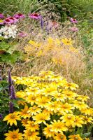 Agastache, Echinacea purpurea, Rudbeckia hirta 'Prairie Sun', Deschampsia cespitosa 'Bronzeschleier' 