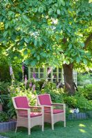 Wicker seats beneath a walnut tree
