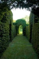 Yew alley with arches