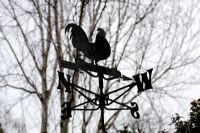 Cockerel weather vane silhouetted agaist winter trees
