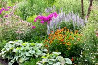 Summer border of Agastache 'Blue Fortune', Helenium 'Sahin's Early Flowerer', Monarda 'Marshall's Delight' and Brunnera macrophylla 'Jack Frost' 
