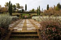 Steps up to patio with chequerboard pattern. The Field. Il Bosco Della Ragnaia, San Giovanni D'Asso, Tuscany, Italy, October. 
 