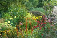 October border with Salvia microphylla, Miscanthus, Helenium, Achillea, Dahlia, Rudbeckia and Agastache. Carol and Malcolm Skinner, Eastgrove Cottage, Worcs UK