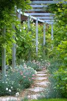 Stepping stone and gravel path under pergola, edged with Dianthus and with Clematis climbing  up it. Parsons Cottage