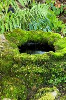 Water well covered in moss