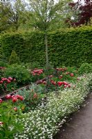 Vegetable garden - Schloss Ippenburg, Germany