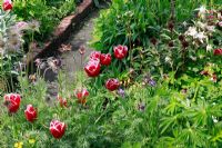 Mixed planting in vegetable garden - Schloss Ippenburg, Germany