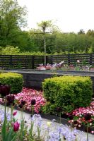 The black box - One of the spring show gardens at Schloss Ippenburg, Germany