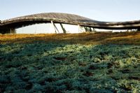 The iconic green roof of the Visitors' Centre, designed by Glenn Howells Architects. Planted with Juniper bushes - The Savill Garden, Windsor Great Park