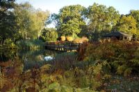 Wooden bridge crossing over a pond -The Casson Bridge, The Savill Garden, Windsor Great Park