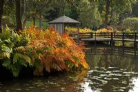 Wooden bridge crossing over a pond - The Casson Bridge, The Savill Garden, Windsor Great Park