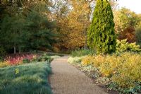 The Winter Garden walkway in Autumn, with colourful planting either side - The Savill Garden, Windsor Great Park