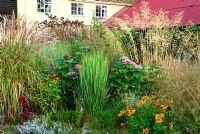 Colourful mix of perennials and grasses including Miscanthus, Stipa gigantea, Heleniums, Clerodendrum bungei and Sedum 'Purple Emperor' -Grass Garden, Hants