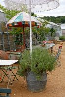 Dining area at Petersham Nurseries, Richmond, Surrey 