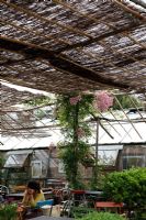 Cafe under bamboo canopy at Petersham Nurseries, Richmond, Surrey 