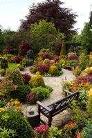 Wooden bench in Oriental style garden with borders of Azalea, Acer, Erysimum, Viola - Pansies and conifers. Tony and Marie Newton, Walsall, UK