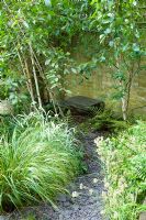 Slate path and small wooden bench under Betula - Birch trees next to brick wall. . Yulia Badian, London, UK