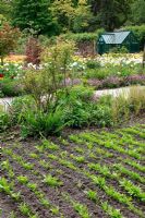 Kitchen garden at Schloss Ippenburg, Bad Essen, Germany 
