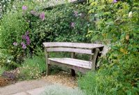 Wooden seat surrounded by scented plants and climbers -Jasminum, Clematis, Rosa, Lavandula. Fovant Hut Garden, Wilts