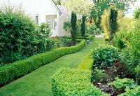 Grass path leading down sloping garden. Hot themed borders edged with low Buxus - Box hedges. Fovant Hut Garden, Wilts