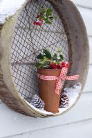 Snowy rusty pot with Ilex - Holly sprigs balanced on wooden sieve
