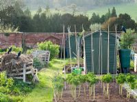 Early spring allotment with Jackdaws and sheds