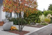 Sornus aucuparia - Rowan, Taxus, Granite sphere, Bonsai and decorative grasses in front garden with Asian and decorative elements